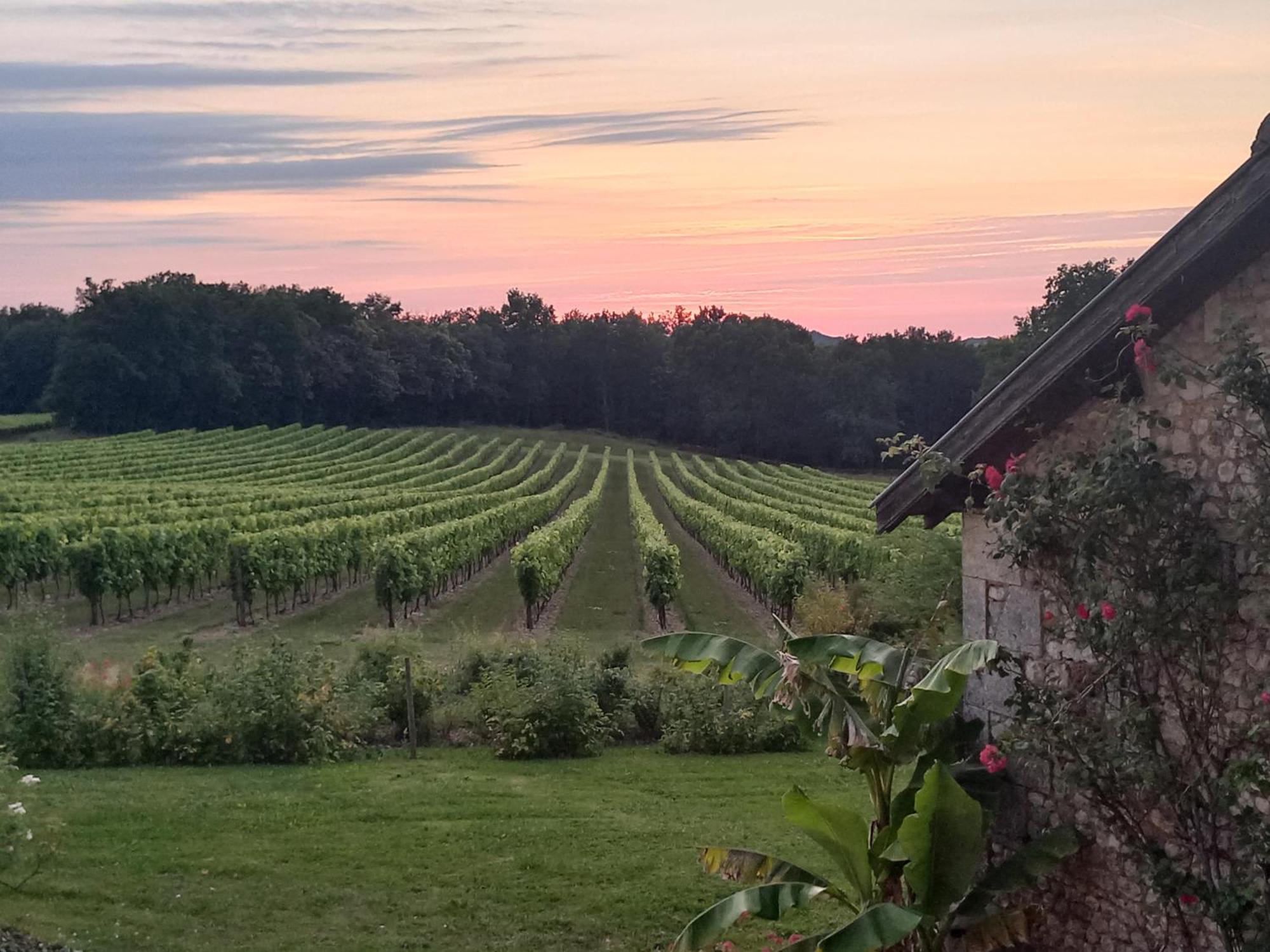 Domaine Chez Maurice Bed and Breakfast Becheresse Exteriör bild
