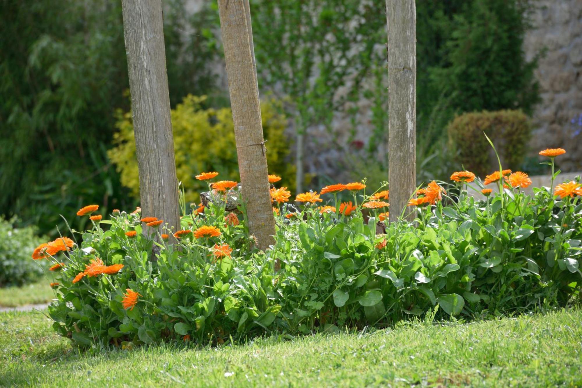 Domaine Chez Maurice Bed and Breakfast Becheresse Exteriör bild